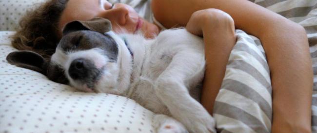 Dividere il letto con il cane: studio dimostra che le donne dormono meglio vicino al loro peloso rispetto agli uomini 