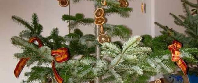 Decorazioni di Natale fai da te con le arance