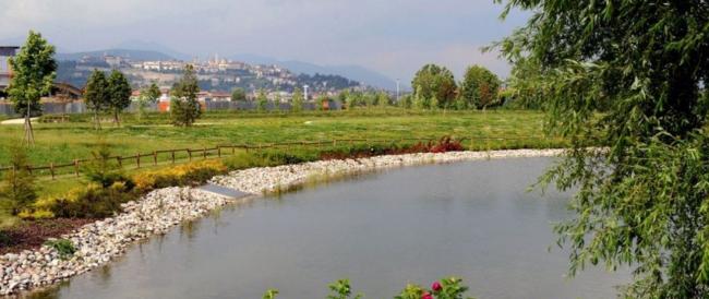 A Bergamo nasce il Bosco della Memoria per le vittime del Covid: parte la raccolta fondi per realizzarlo