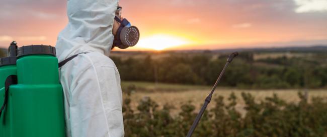 Le morti per cancro del fegato sono alle stelle poiché il cibo diventa sempre più tossico a causa di pesticidi ed erbicidi