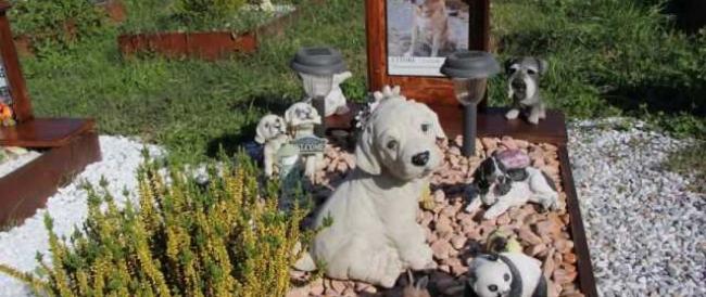 A Genova cani e gatti potranno essere sepolti con i loro proprietari 