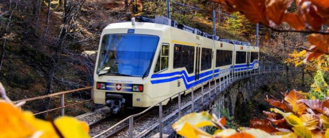 Treno del foliage: un suggestivo viaggio tra i colori dell’autunno