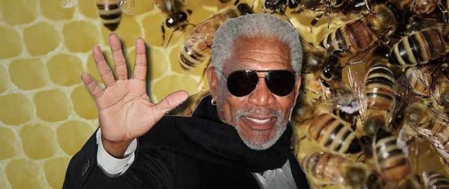 RADIOPOST ESTATE - Morgan Freeman trasforma il suo ranch in un santuario per le api