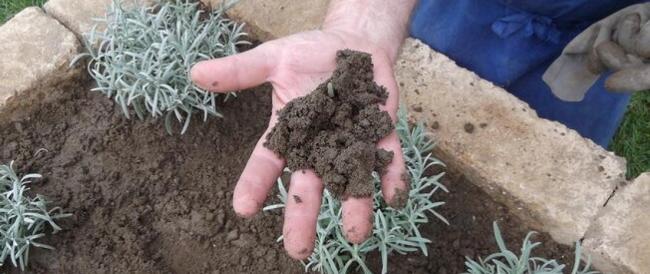 Niente sospensioni: in questa scuola di Bologna i bulli vanno a zappare l’orto