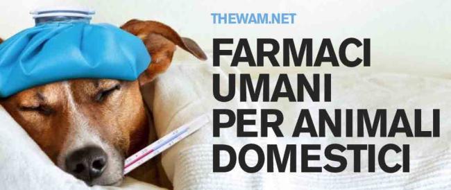 Gli animali domestici potranno essere curati con farmaci umani: Speranza firma il decreto. Lav: “Una conquista, meno costi per famiglie”.