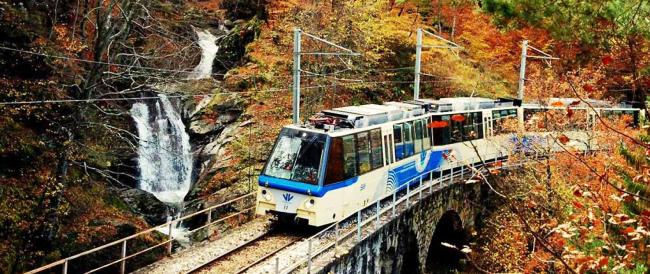 Treno del Foliage 2024: un romantico viaggio panoramico tra le mille sfumature d’autunno