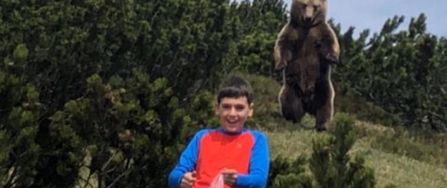 Incontri ravvicinati nei boschi, l’orso sbuca dal cespuglio, bambino non perde la calma e si allontana