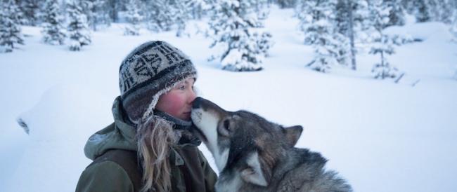 La ragazza che vive con gli husky nelle terre selvagge della Finlandia