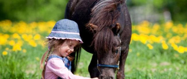 Fattorie didattiche e agri nidi, la soluzione proposta in Veneto per far fronte alla scuole chiuse.