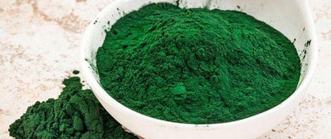 Si chiama Spirulina, la producono ad Acciaroli: è l’alimento più completo al mondo