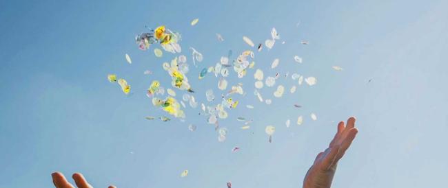 Confetti di semi al posto dei coriandoli per far “fiorire” il Carnevale