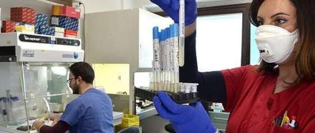 Covid-19 è cambiato, il ceppo europeo è mutevole e più contagioso.