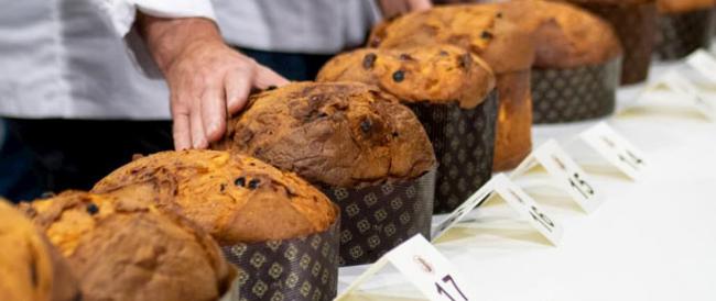 Panettone: tutti i trucchi del nutrizionista per sceglierne uno di qualità (e non ingrassare)